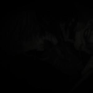 </3 holdudown #6ixthr33 (Explicit)
