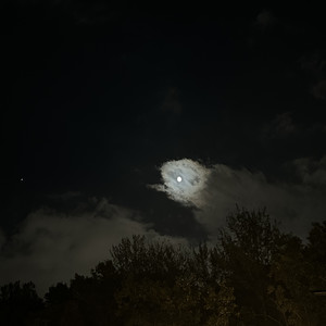 갈 수 있어야 가지 (Inst.)