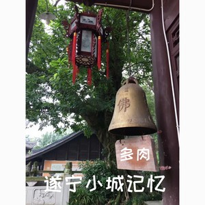 遂宁小城记忆 川普版