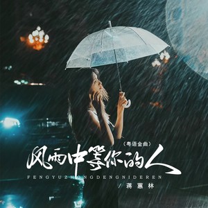 风雨中等你的人