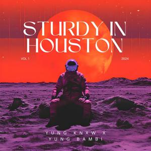 Sturdy In Houston (feat. Yung Bambi) [Explicit]