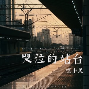 哭泣的站台