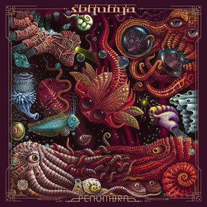 Every Word, Every Silence