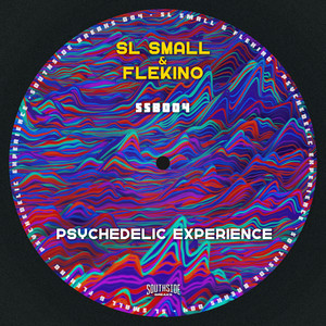 Psychedelic Experience