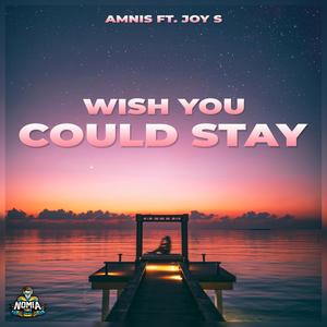 Wish You Could Stay