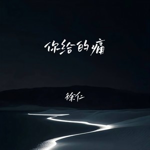 你给的痛 (DJ越鑫版)封面