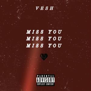 Miss you (Explicit)