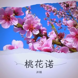 桃花诺