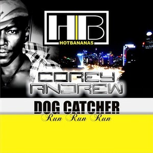 Dog Catcher (Run Run Run) (Marcapasos Remix)