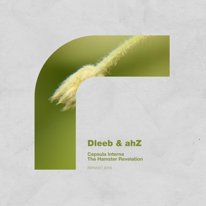 Capsula Interna (Original Mix)