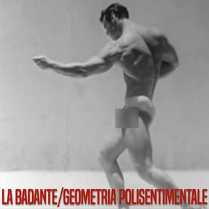 Geometria Polisentimentale