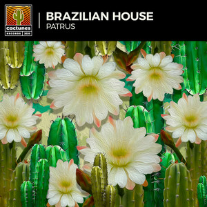 Brazilian House