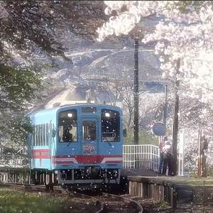 邦邦两拳 (你枕莫啦)