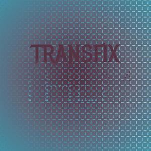 Transfix Them