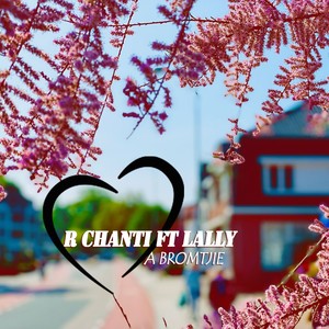 BROMTJIE (feat. Lally)