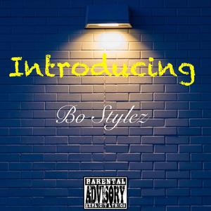 Introducing BoStylez (Explicit)