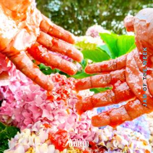Jam Of The Week (Explicit)