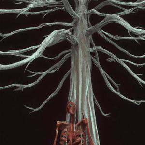 Fall Off (feat. Vernie In Hell) (Explicit)