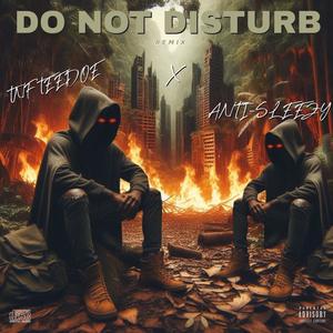Do Not Disturb (feat. TNF TeeDoe) (Remix|Explicit)