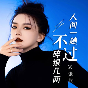 人间一趟不过碎银几两 (DJ伟然版伴奏)