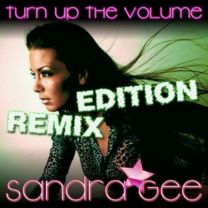 Turn Up the Volume (Remix Edition)