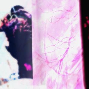 everything you say (Explicit)