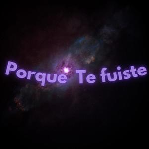 Porque te fuiste