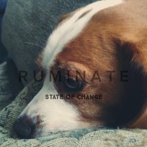 State of Change