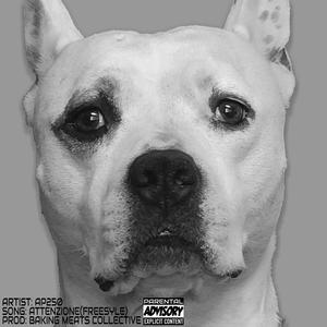 Attenzione (Freestyle) (Explicit)