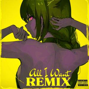 All I Want (Remix|Explicit)