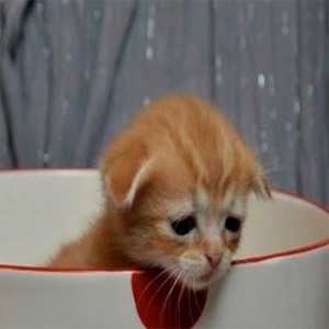 Как раньше (Explicit)