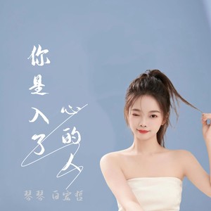 你是入了心的人 (伴奏)