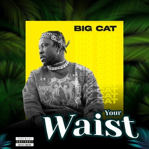 Your Waist (Explicit)