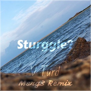 Sturggle？(Msrg3 Remix)