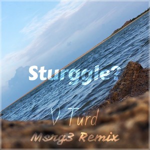 Sturggle？ (Remix)