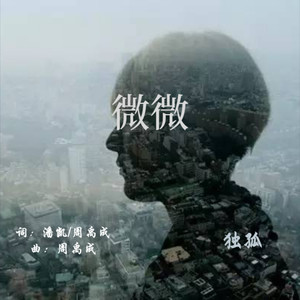 微微 (伴奏)封面