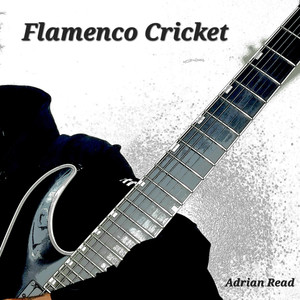 Flamenco Cricket