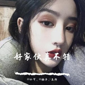 后来的我们 (DJ版)