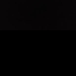 arp! (feat. YMM ALMIGHTY) (Explicit)