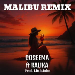 Malibu Remix (feat. Kalika & LittleJohn)
