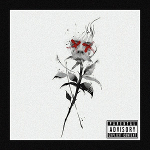 Tulips (Explicit)