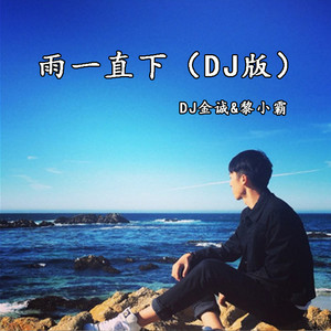 雨一直下 (DJ版)