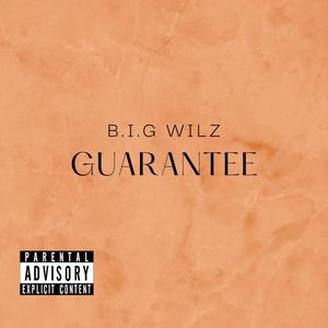 Guarantee (Explicit)