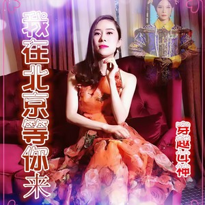我在北京等你来