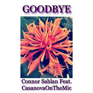 Goodbye (feat. CasanovaOnTheMic)