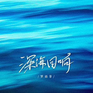 深海回响