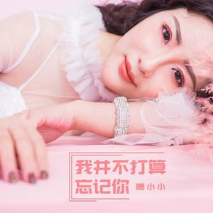 我并不打算忘记你