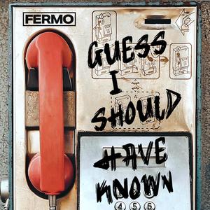 Guess I Should Have Known