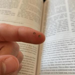 sing His praise aloud