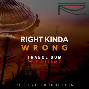 Right Kinda Wrong(feat. Dj Liamz)